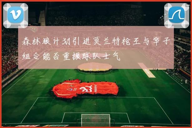 森林狼计划引进莫兰特枪王与华子组合能否重振球队士气